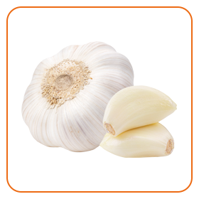 Knoflook
